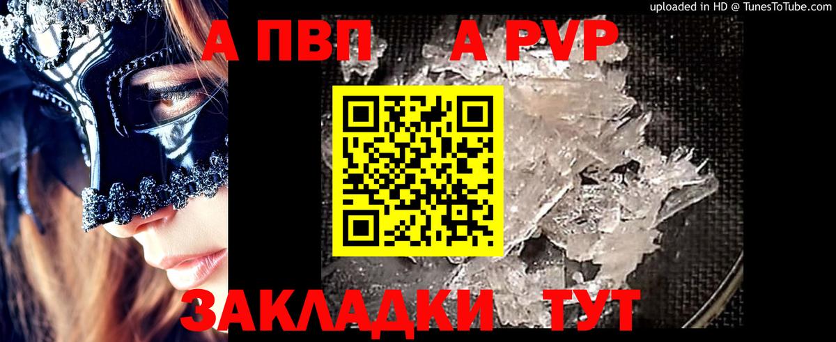 Alfa_PVP СК КРИС Ртищево