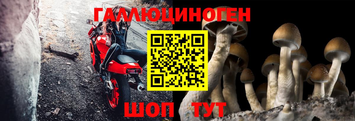 Псилоцибиновые грибы Cubensis  Вход с VPN  Ртищево 
